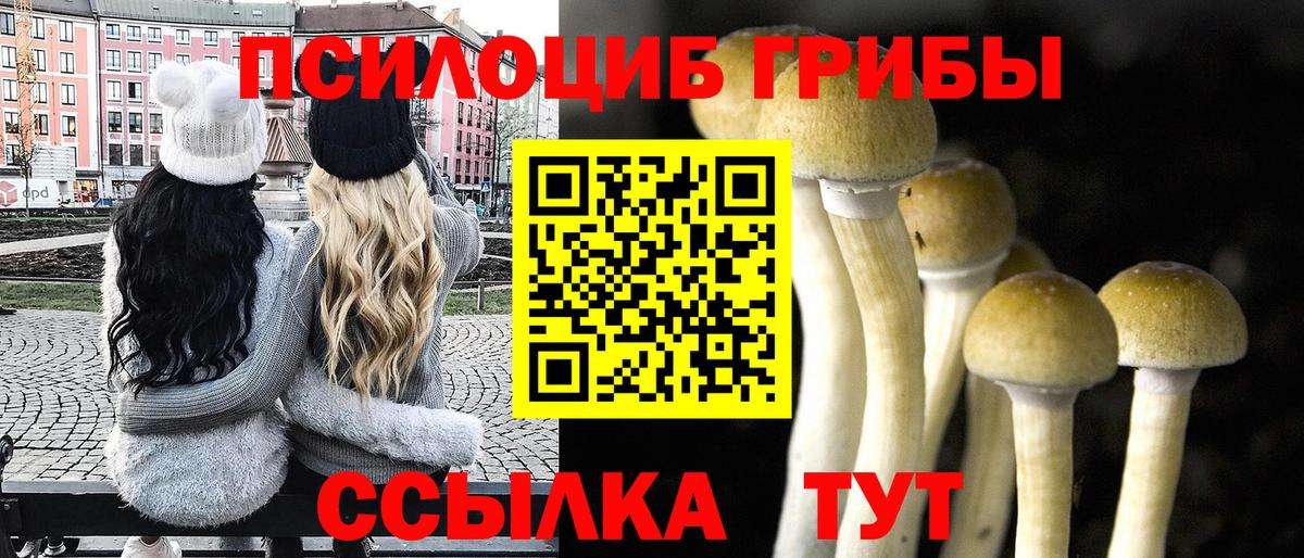 Галлюциногенные грибы MAGIC MUSHROOMS Елабуга