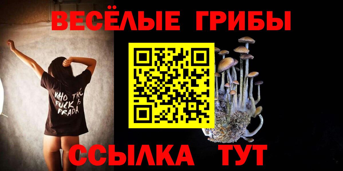 Елабуга  наркошоп  Вход с VPN  Галлюциногенные грибы Psilocybe 